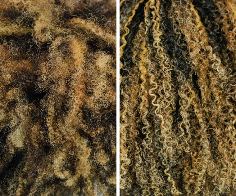 Close-up photo of hair before and after the Moisture Detox