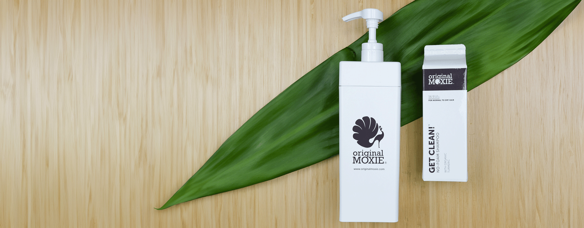 Sustainable packaging laying on top of a large green leaf