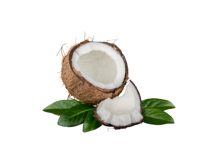 Coconut