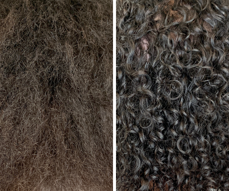 Close-up photo of hair before and after the Moisture Detox